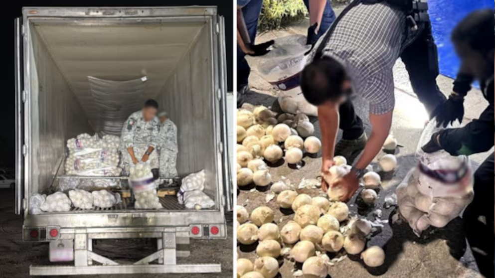 Imputan a conductor con 260 kilos de metanfetamina en costales de cebolla