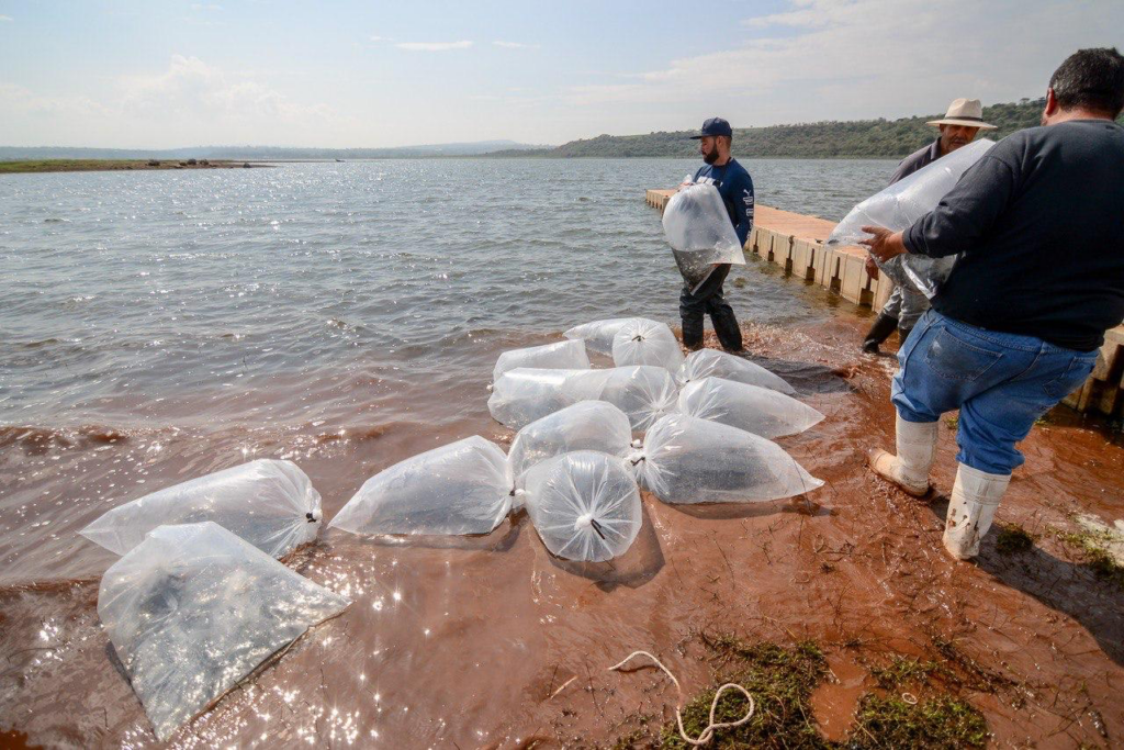 ASICA capacita a pescadores de la Presa Calderón en sanidad e inocuidad