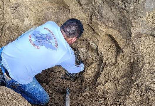 Guerreros Buscadores denuncian hallazgo de nueva mega fosa clandestina en Zapopan