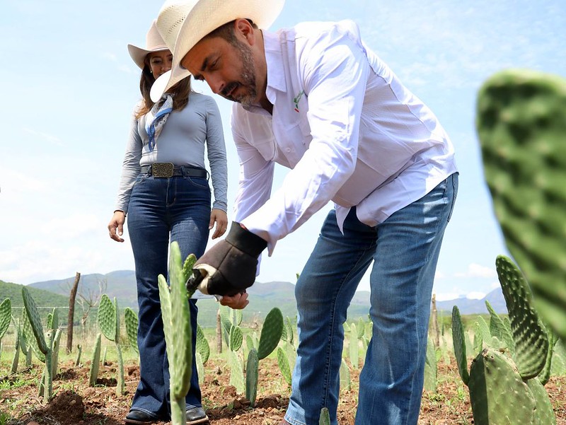 Jalisco reafirma su liderazgo agroalimentario con programas de inclusión, innovación y sostenibilidad
