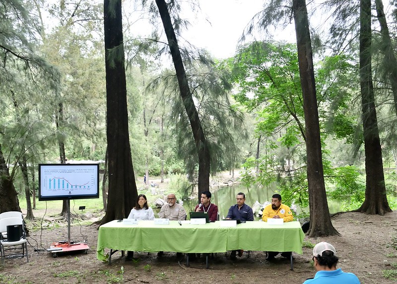 Jalisco supera meta de reforestación 2025 con más de 160 mil árboles plantados en 43 municipios