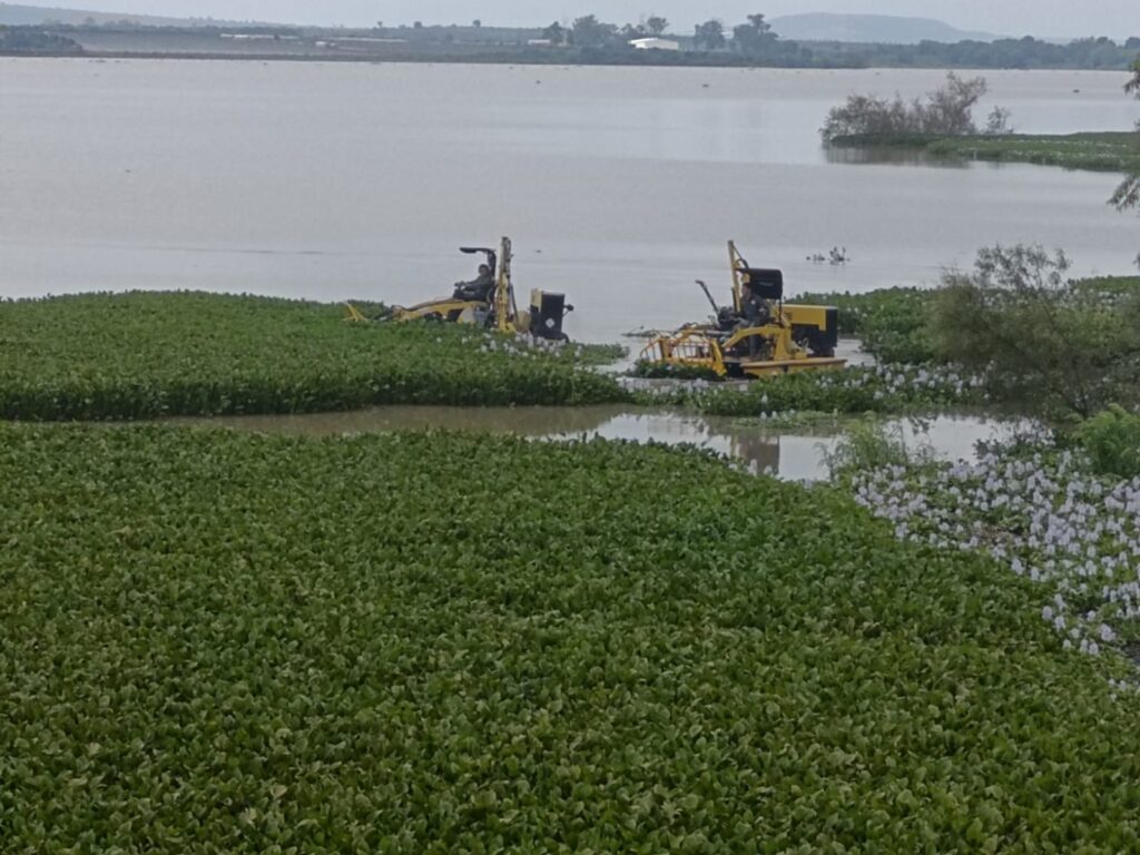 Avanza limpieza en la presa El Tule para garantizar su operación en Arandas