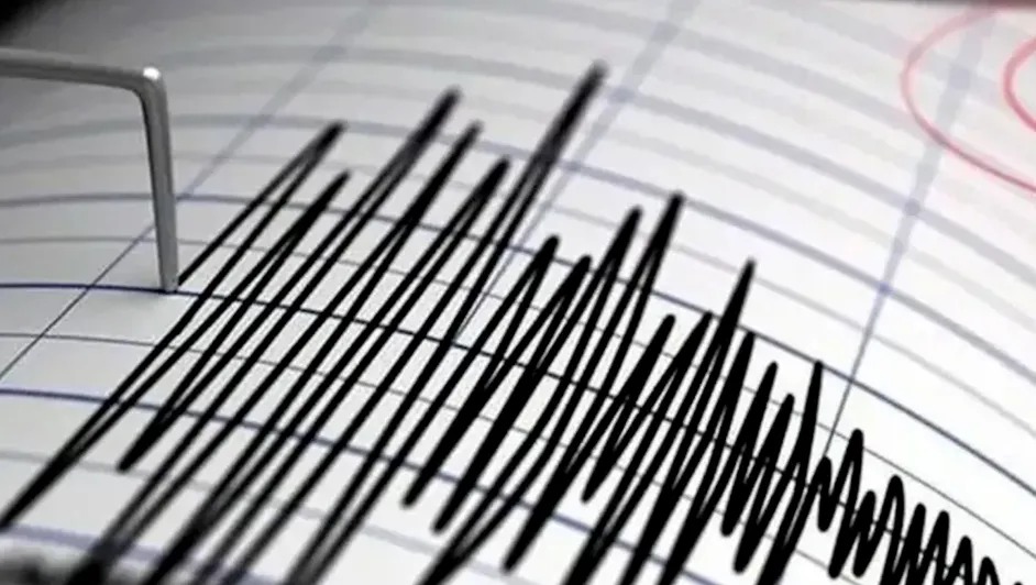 México registra en promedio 80 sismos diarios, revela SSN