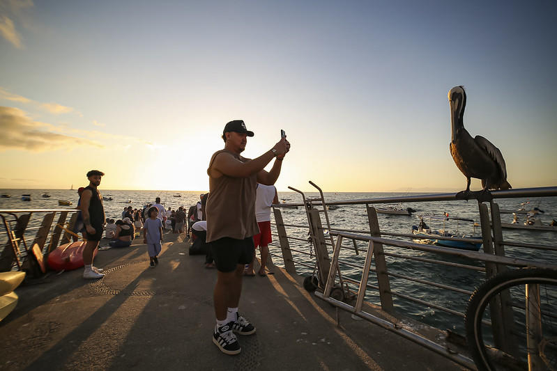 Jalisco mantiene liderazgo turístico en verano y Fiestas Patrias con más de 6.4 millones de visitantes