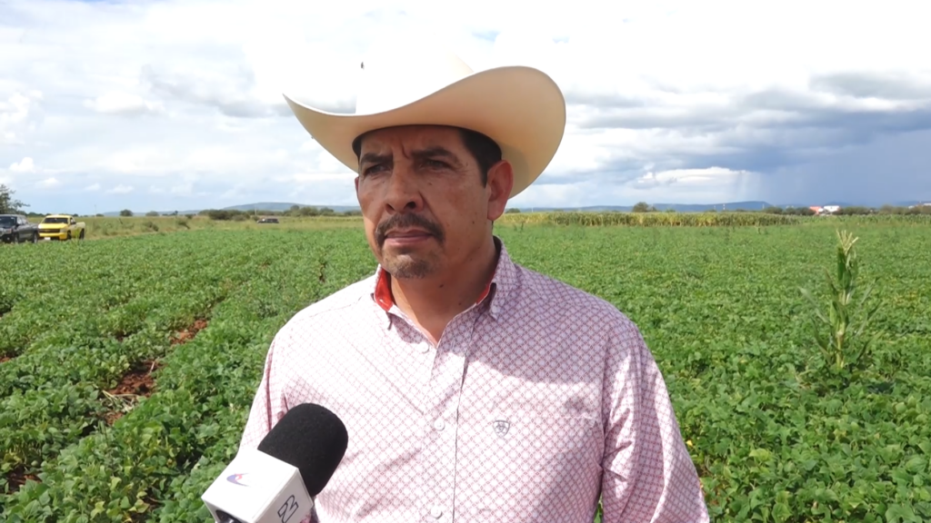 Coordinación y unión, indispensables para fortalecer el campo de cara a 2026: SAGDR