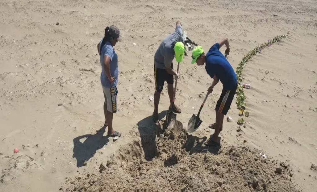 Confirman gripe aviar en gaviotas de playas de Matamoros; autoridades sepultan 400 aves