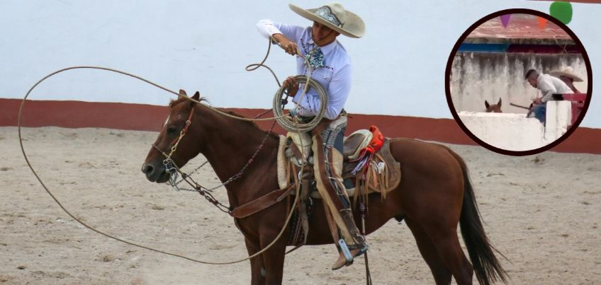 VIDEO: Caballos sufren maltrato durante celebraciones del Grito