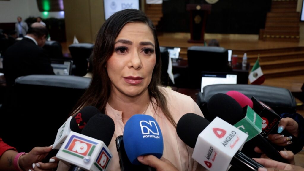 Seguridad, gran pendiente en el primer informe de Claudia Sheinbaum: Dany Soto (PRI)