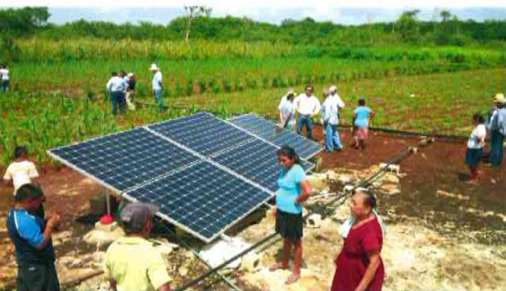 Energía solar y nopal, base de un modelo productivo sostenible para el campo: Ingeniero Contreras