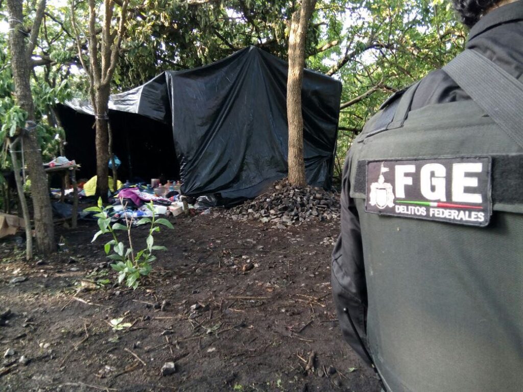 Cuatro hombres reciben sentencia de 15 años por narcocampamento en Tala