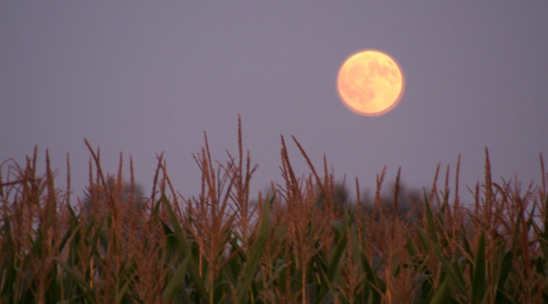 Luna de Maíz 2025: todo lo que debes saber del espectacular plenilunio de septiembre