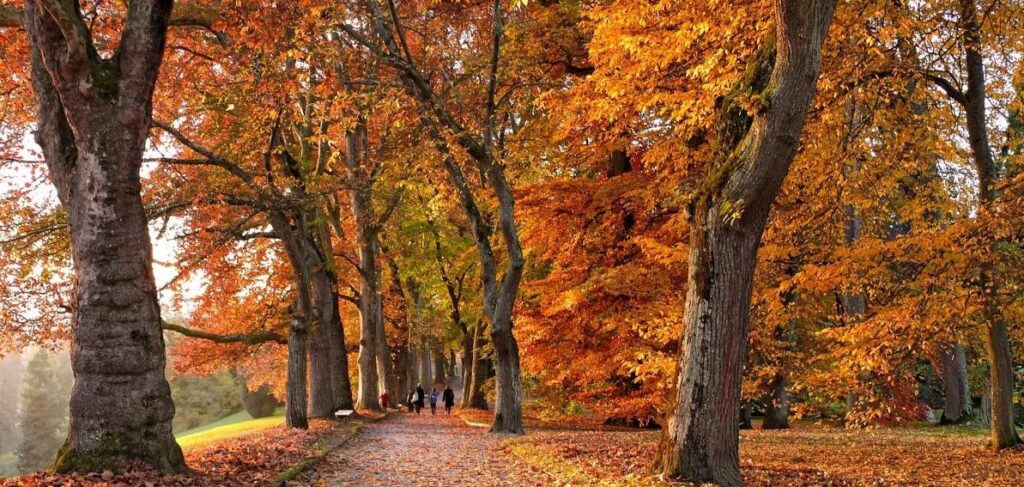 Equinoccio de otoño 2025: fecha y hora exacta
