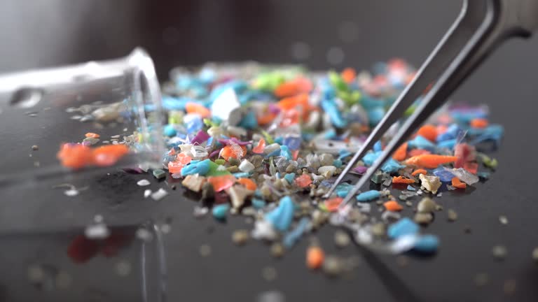 La complejidad de los microplásticos. ¿Cuál es su tamaño verdadero?