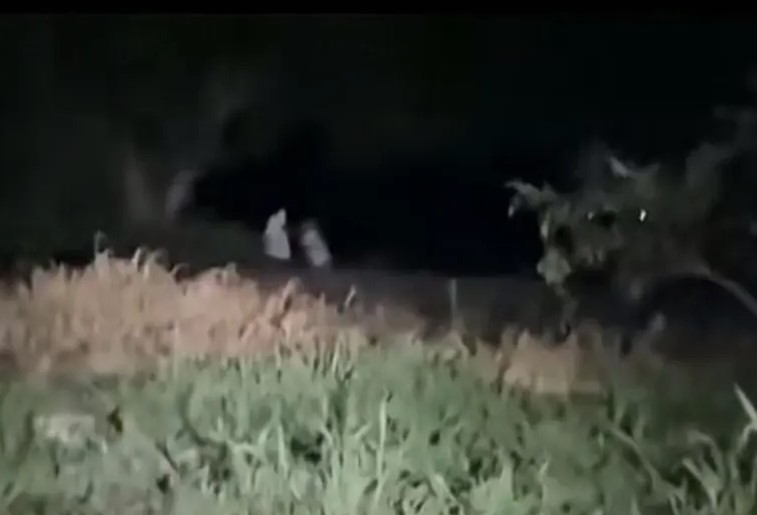 VIDEO: Usuarios creen que estas “niñas” son demonios disfrazados