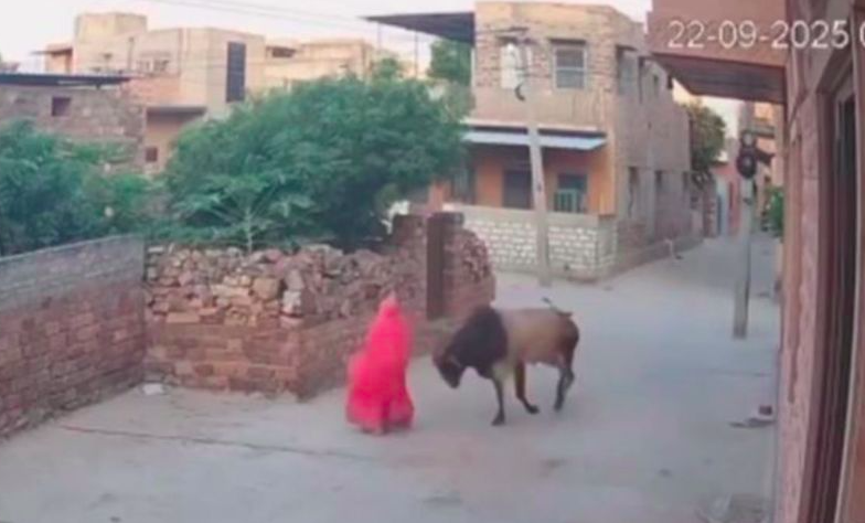 VIDEO: Abuelita es embestida brutalmente por un toro