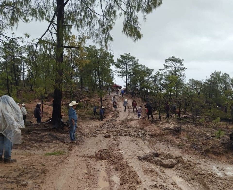Comunidades indígenas de Mezquital, aisladas por 90% de caminos destruidos