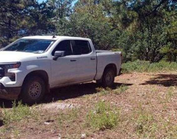 Muere chofer tras caer camión maderero a barranco en Guerrero