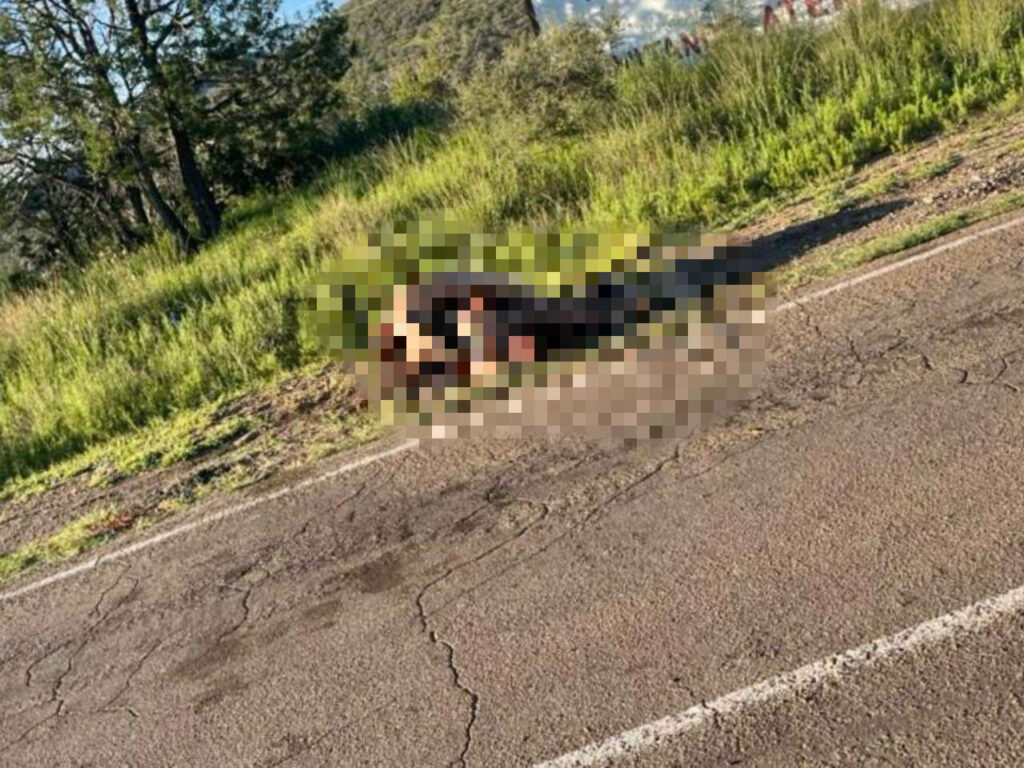 Identifican a las 5 víctimas halladas en Temósachic