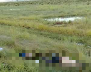 Macabro hallazgo en carretera de Anáhuac