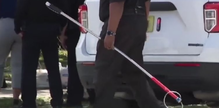 Abuelita muere tras brutal ataque de perros callejeros