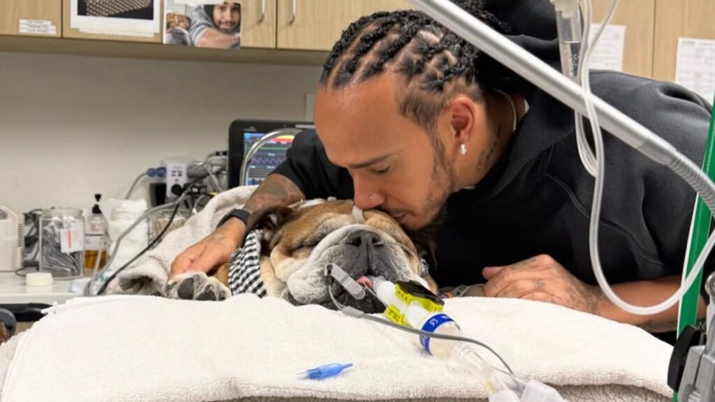 Lewis Hamilton se ausenta de eventos de Fórmula Uno por salud de su mascota