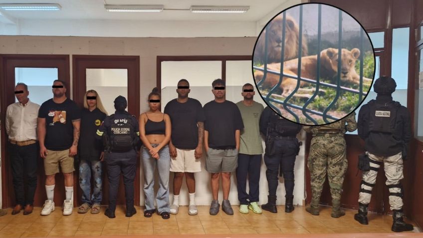 Autoridades desmantelan presunto centro de secuestros en Edomex; hallan leones en el sitio