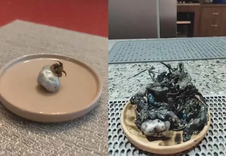 Criatura misteriosa ‘caída del cielo’ en Panamá desata comparaciones con Venom