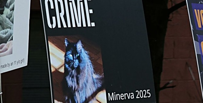 Minerva, la gatita que ganó unas elecciones y será alcaldesa de una ciclovía