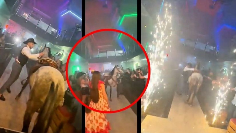 Obligan a caballo a entrar a un bar lleno de pirotecnia
