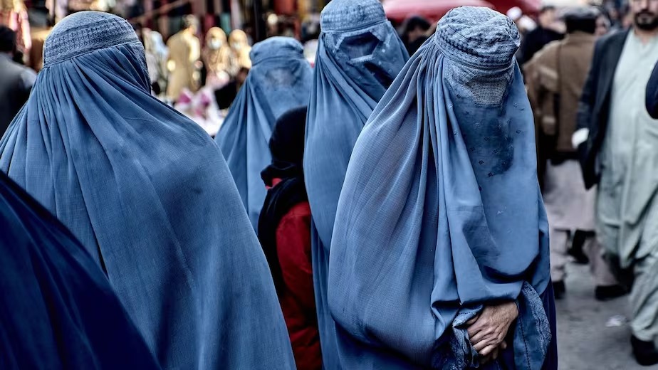 Talibanes prohíben internet en provincia afgana para “prevenir la inmoralidad”