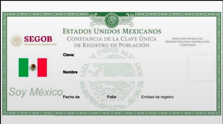 ¿Qué hacer si mi CURP aparece como «Sin uso» y cómo puedo reactivarlo?