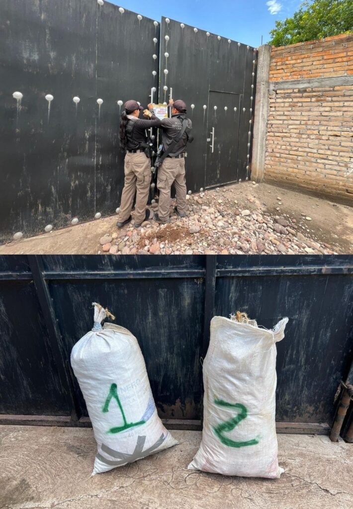 Federales aseguran rancho, vehículo y carga ilegal en Durango