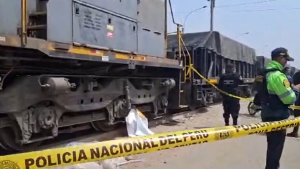 Pierde la vida al impactarse contra el tren