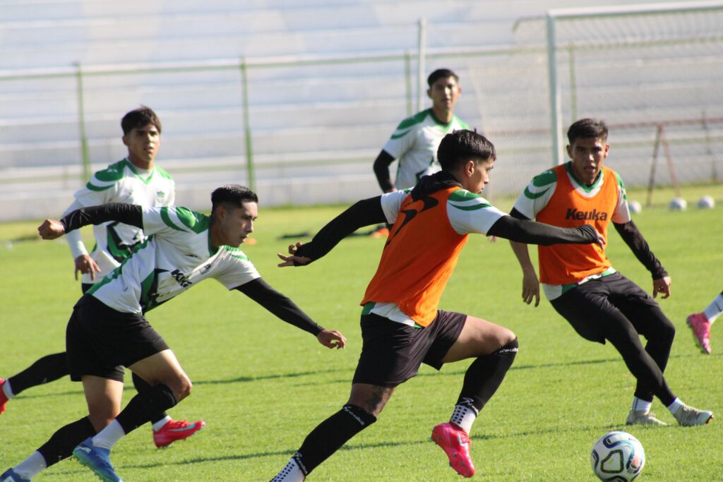 Alacranes busca recuperar el camino ante los Tigres de Álica.