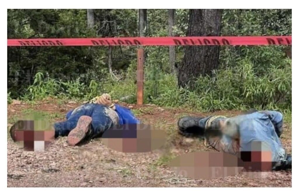 Detienen a tres hombres en Guadalupe y Calvo; investigan vínculo con homicidios recientes