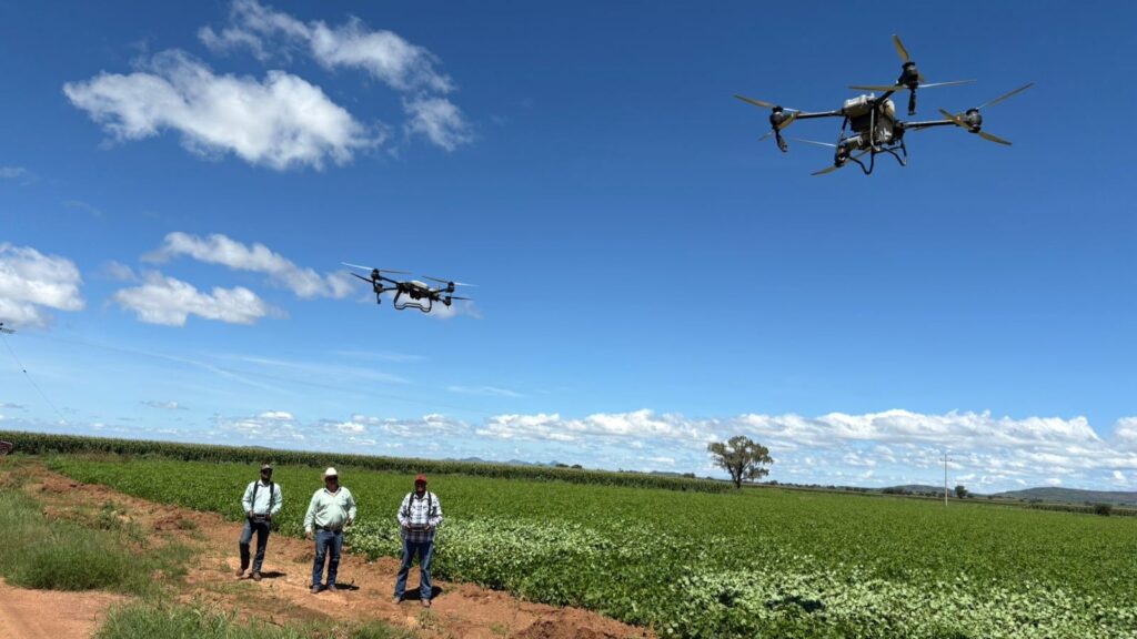 Rehabilitan servicio de drones para productores de Poanas