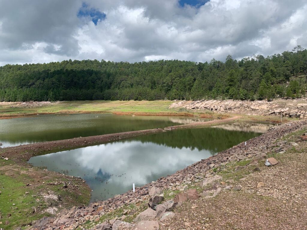 Analizan aplicar geomembrana para frenar filtraciones en presa La Rosilla II