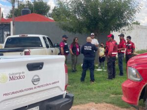 Varias versiones sobre el video del oso