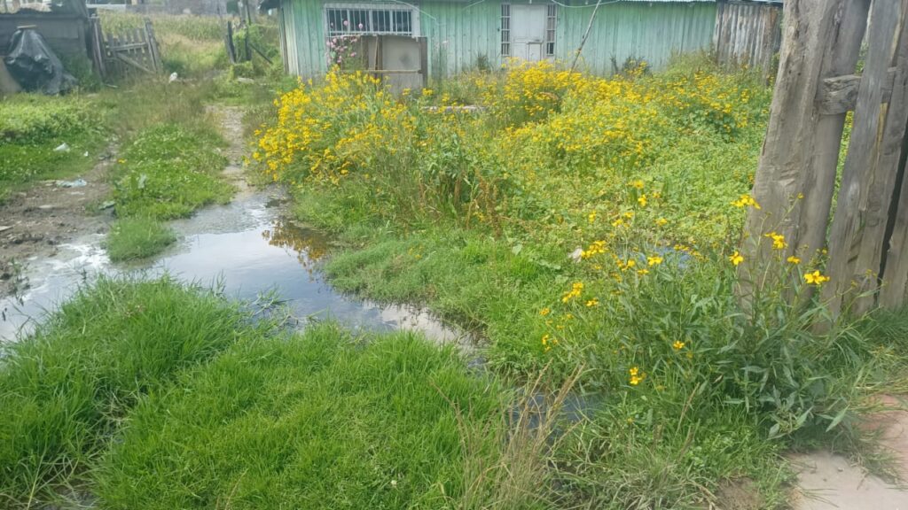 Denuncian fuga de agua en la colonia Victoria