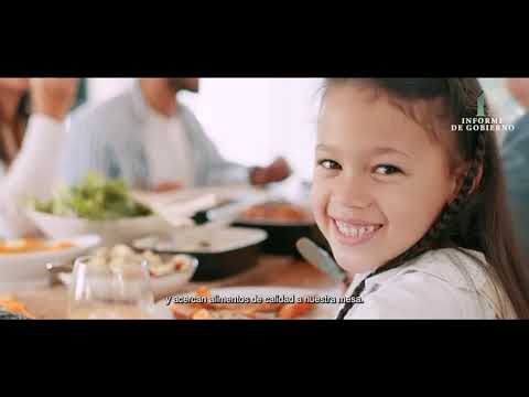 Impulso al campo, la pesca y la ganadería con maquinaria, financiamiento y capacitación que mejoran la productividad.