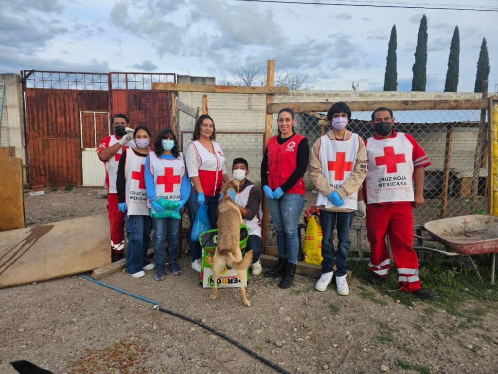 Vacunan a 75 lomitos en Nuevo Ideal para prevenir la rabia y promover el bienestar animal
