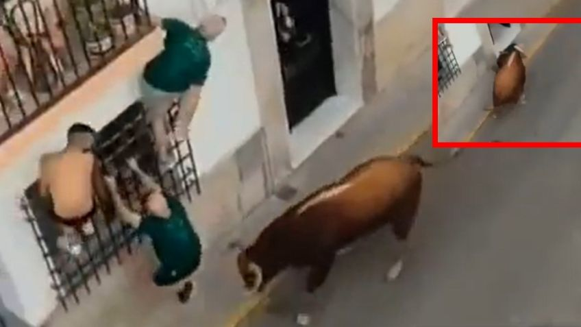 VIDEO: Toro mata a hombre durante la celebración