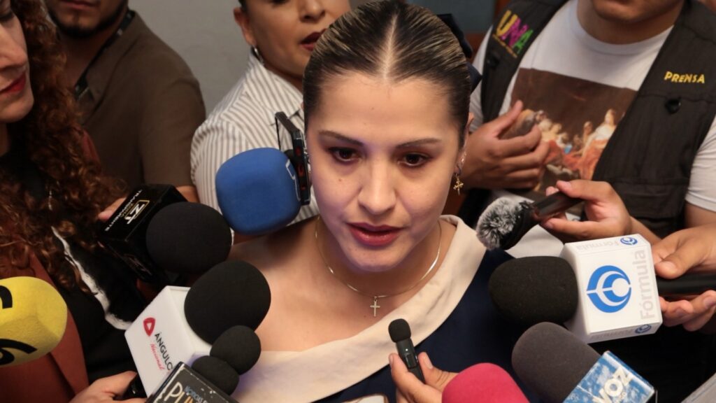 Diputada llama a reforzar presupuesto para salud mental ante preocupantes cifras de suicidio juvenil