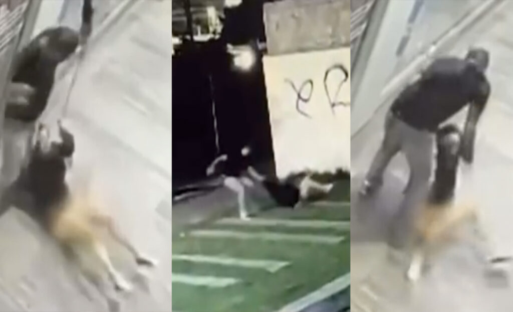 Brutal agresión a mujer embarazada en Plaza de Tlaquepaque