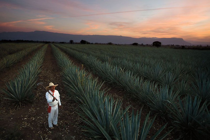 Tequila será sede de la décima edición del certamen nacional “100 Imperdibles de México”