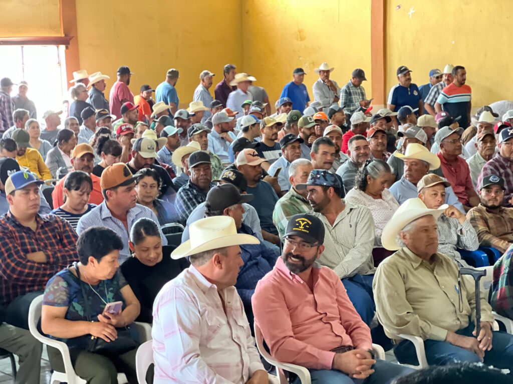 Agricultores solicitan incremento en el acopio de frijol ante la expectativa de una producción récord en Durango