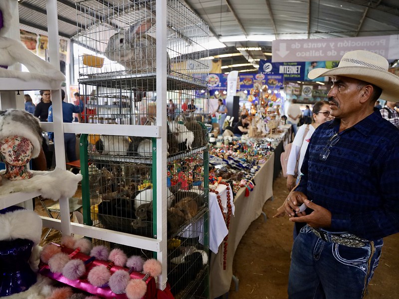 Impulsa SADER Jalisco a productores locales en la Expo Ganadera 2025