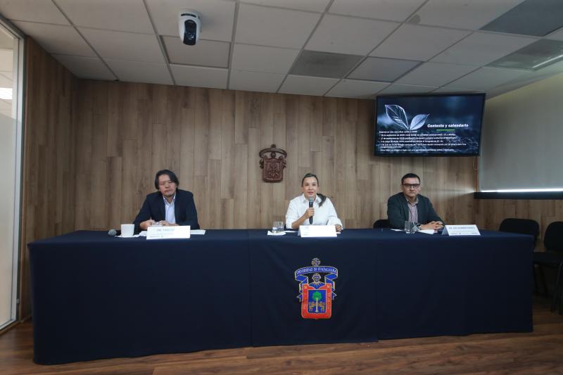 México debe llegar con una estrategia sólida a la revisión del T-MEC , advierten especialistas