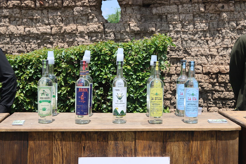 Impone Jalisco marca en el Concurso Mundial de Bruselas