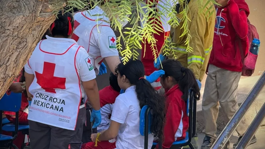 Más de 600 alumnos en Tijuana intoxicados por desayunos escolares